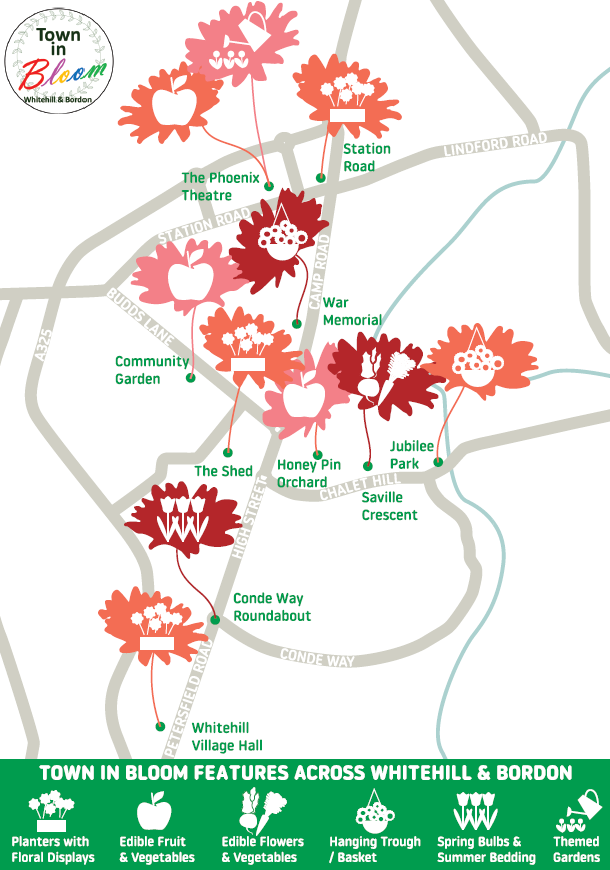 Town in Bloom Map