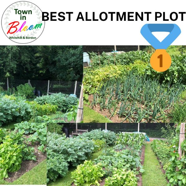 Town in Bloom Allotment 1st Prize Picture