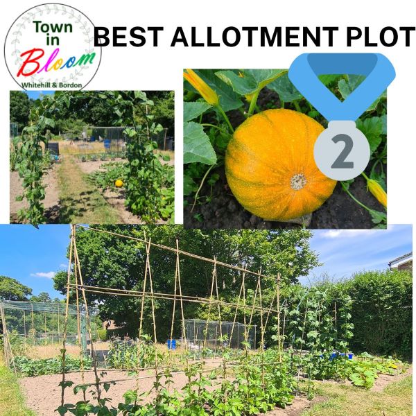 Town in Bloom Allotment 2nd Prize Picture