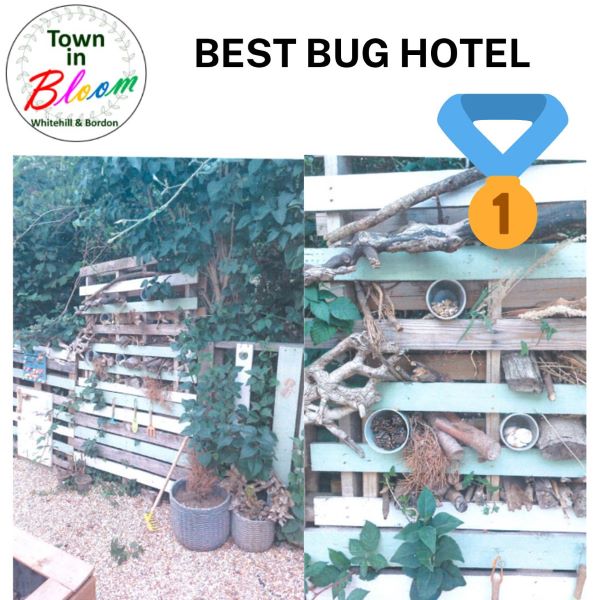 Town in Bloom Best Bug Hotel 1st Prize Picture