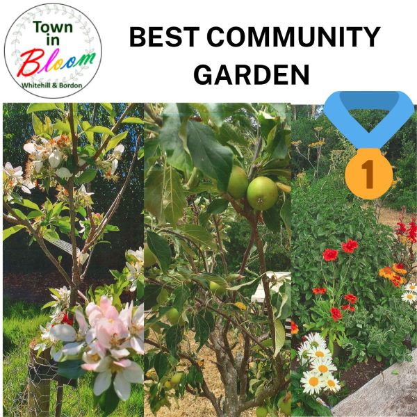 Town in Bloom Best Community Garden 1st Prize Picture