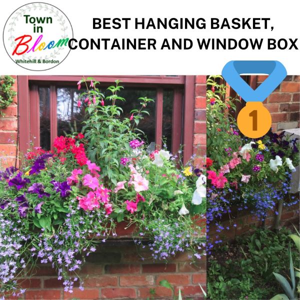 Town in Bloom Hanging Basket 1st Prize Picture