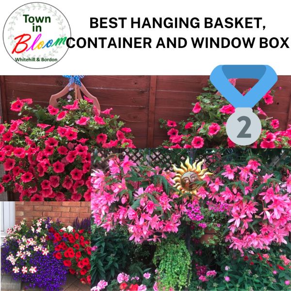 Town in Bloom Hanging Basket 2nd Prize Picture