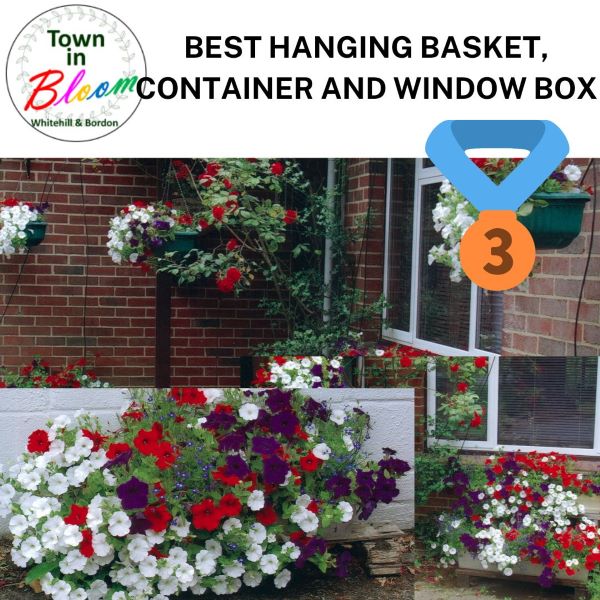 Town in Bloom Hanging Basket 3rd Prize Picture