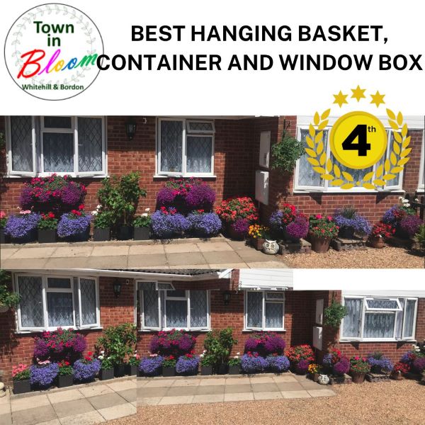 Town in Bloom Hanging Basket 4th Prize Picture