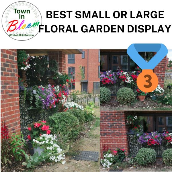Town in Bloom Floral Garden Display 3rd Prize Picture