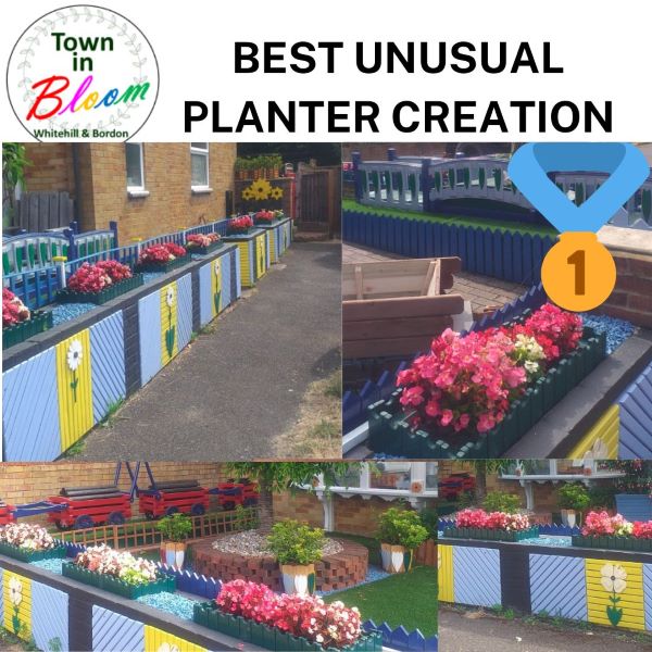 Town in Bloom Unusual Planter 1st prize picture