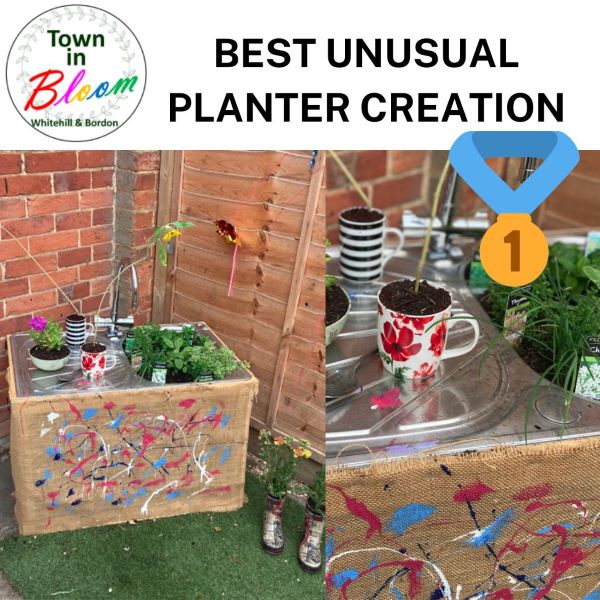 Town in Bloom Unusual Planter 1st prize picture