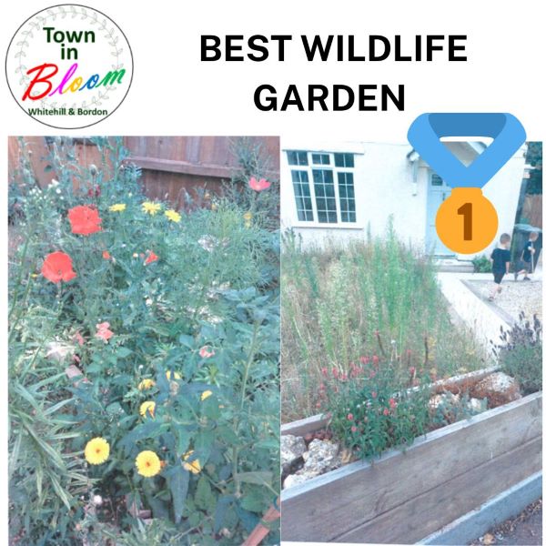 Town in Bloom Best Wildlife Garden