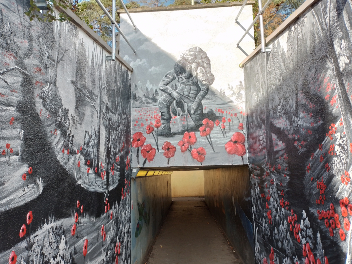 Mural Poppies and Soldier Picture