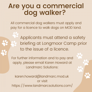 dog walker licence