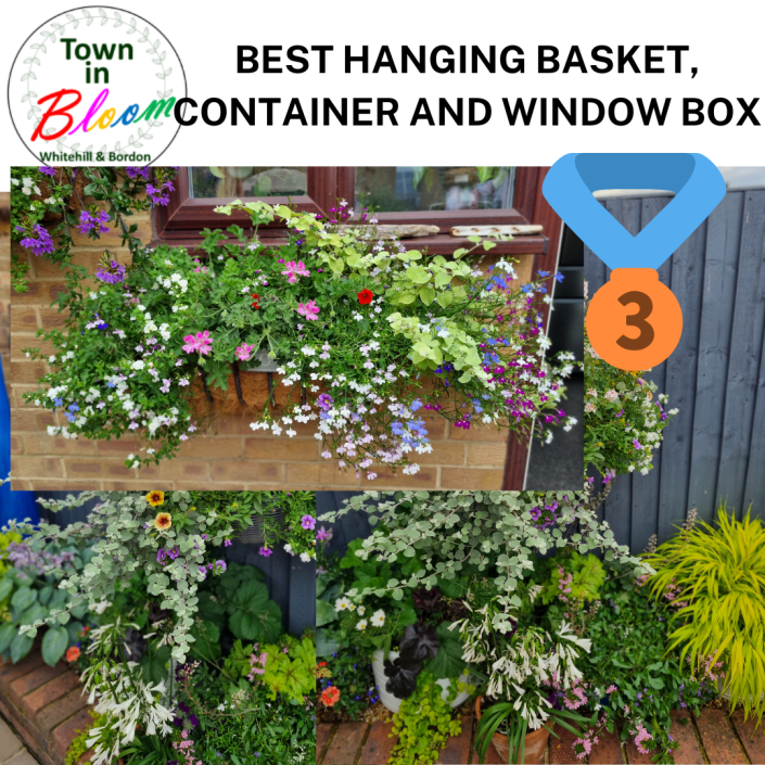 Container with flowers and window box with flowers