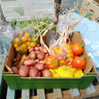 Polytunnel produce donated to the Bordon Food Bank
