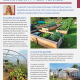 Allotment and Polytunnel online article